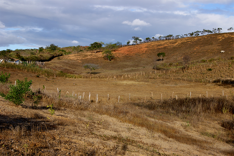 Município vai regulamentar abertura de loteamentos na Zona Rural