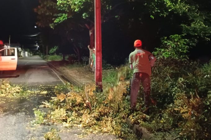 Chuva forte derruba galho de árvore no Bem Querer. Prefeitura agiu rápido na desobstrução da rua