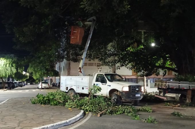 Prefeitura realiza poda de árvores de grande porte na Praça Barão do Rio Branco e em outras áreas da cidade